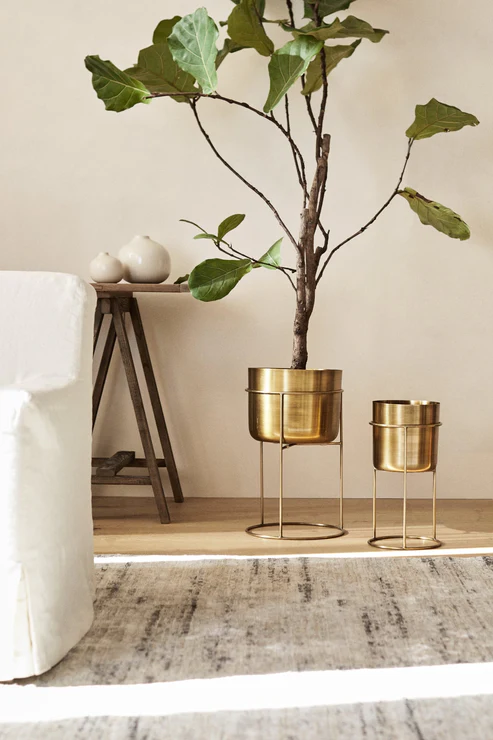 Modern Iron Planter Set with Stand – Elegant Gold Indoor Plant Pots