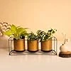 Elegant Gold Iron Planter Set with Stand – 3 Pots for Indoor Plants - Image 2
