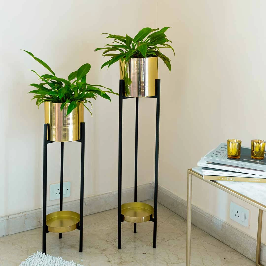 Modern Iron Floor Planters with Black Stands – Set of 2