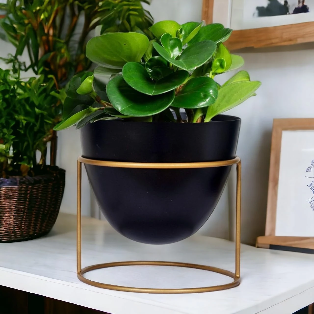 Modern Black & Gold Planter Set – Elegant Indoor Décor - Image 3