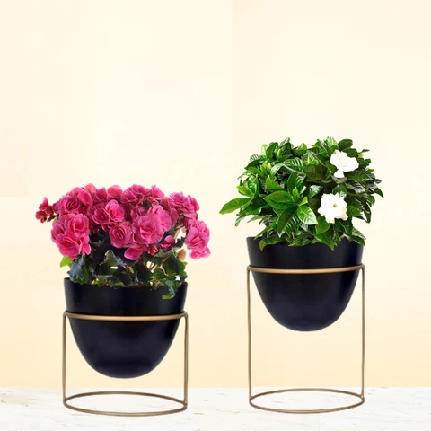 Modern Black & Gold Planter Set – Elegant Indoor Décor - Image 2