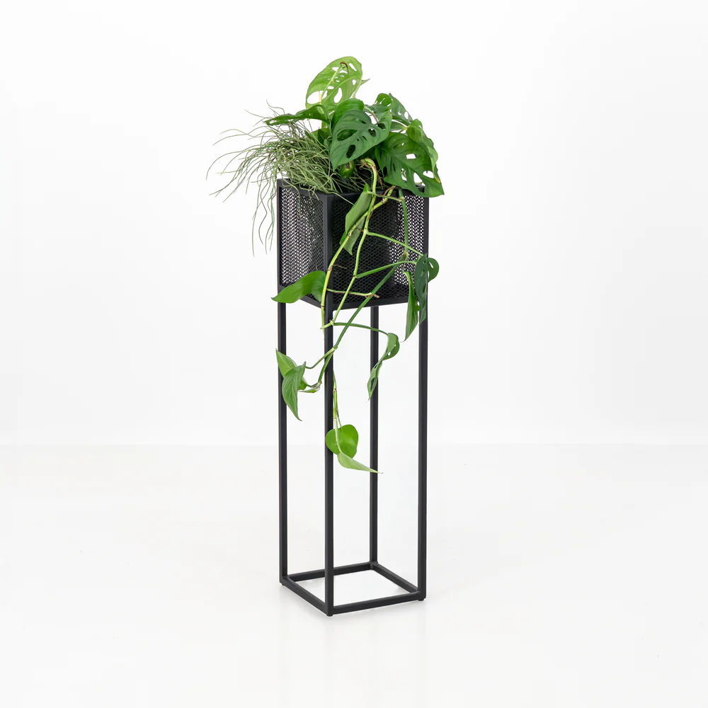 Modern Black Iron Planter Stand Set – Textured Mesh Design (3 Sizes) - Image 6