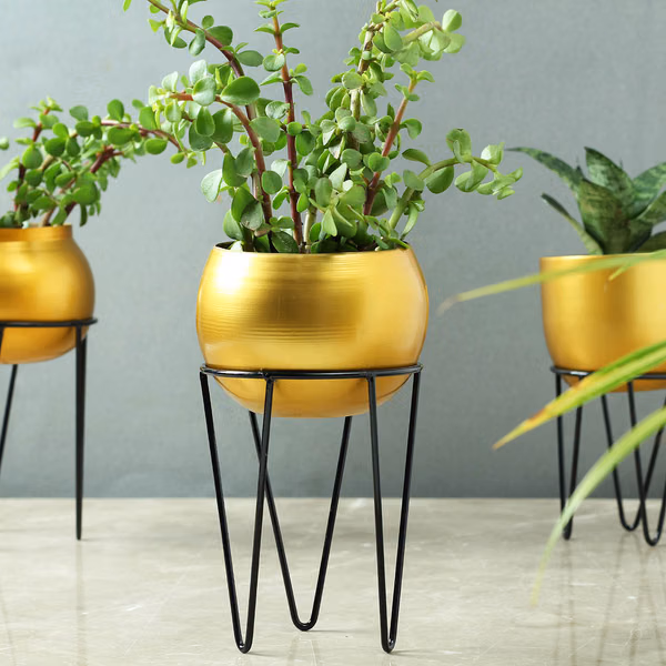 Golden Iron Planter Set with Stand – Modern Indoor Decorative Pots (Set of 3) - Image 2